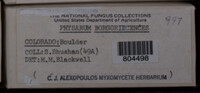 Image Associated With the Occurence